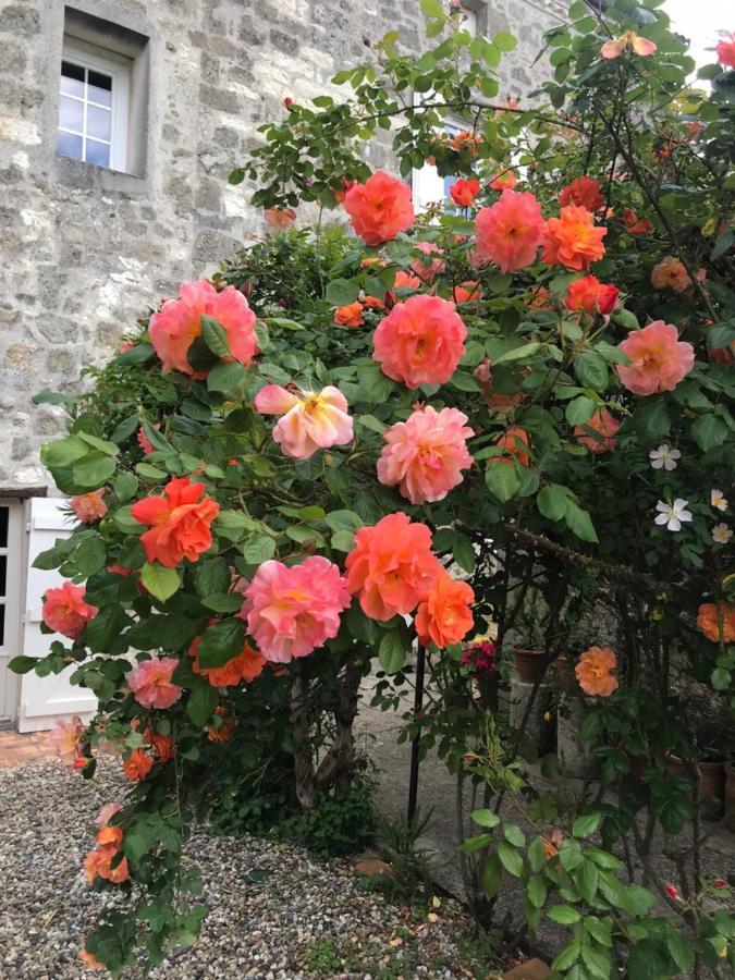 L'Horizon De Marianne Bed & Breakfast Montagnac-sur-Auvignon Ngoại thất bức ảnh
